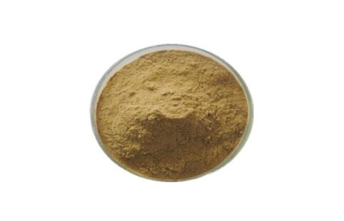 Tongkat Ali Extract