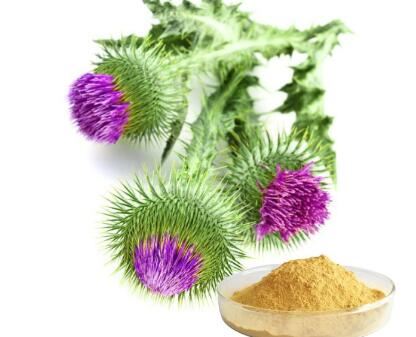 Milk Thistle Powder Bulk-1 Milk Thistle Powder Bulk-1