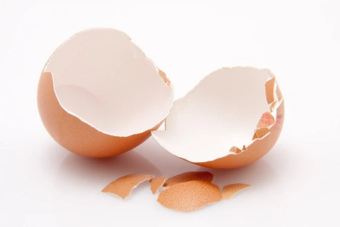 eggshell eggshell