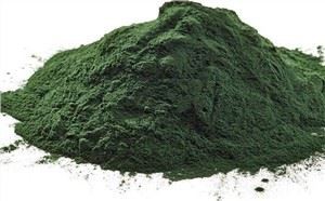 Синій зелений порошок водоростей
