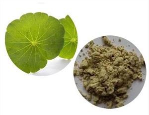 Готу Кола лист екстракт