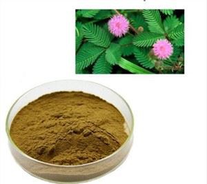 Порошок мімози