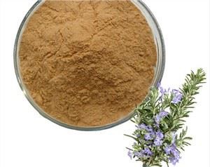 Екстракт листя Rosmarinus Officinalis