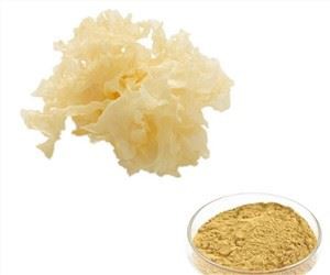 Екстракт сніжного гриба